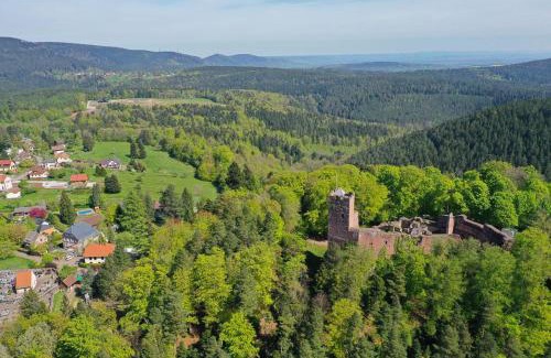 Wangenbourg-Engenthal House | Aux mélèzes de Xavier GÎTE 4 étoiles