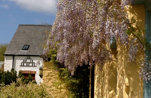 Haverfordwest Cottage | 'Award Winning' Beautiful 170 Year Old Pembrokeshire Stone Holiday Cottage
