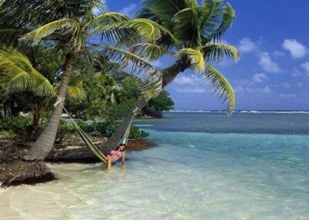 Caye Caulker Apartment | Axios Sun Apartments Caye Caulker