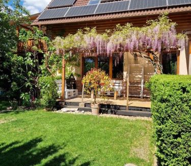 Harsany Apartment | Bámbi Apartman