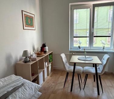 Decin Apartment | Bílý klid nově zrekonstruované studio