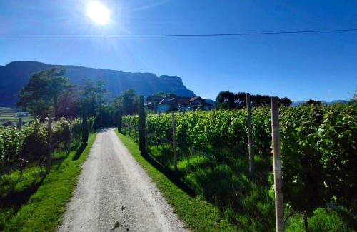 Cornaiano Apartment | Bühel im Gschleier