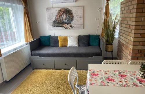 Bukkszentkereszt Apartment | Bükk Apartman Bükkszentkereszt