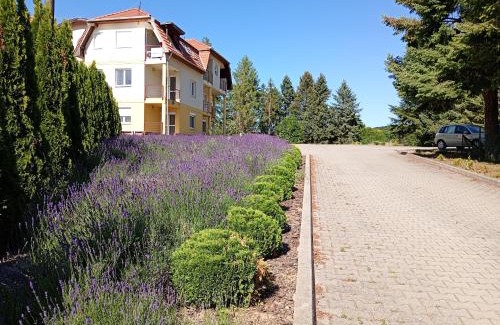 Bukkszentkereszt Apartment | Bükkszentkereszt Oxigén Apartman