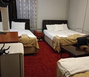 Erzurum City Center Bed & Breakfast | Büyük Akçay hotel