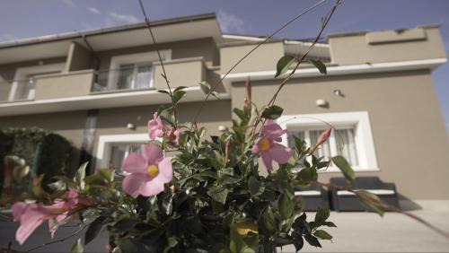 Celano Bed & Breakfast | B&B Arco Dei Sogni