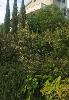 Frascinelle Bed & Breakfast | b&b binario nove e tre quarti