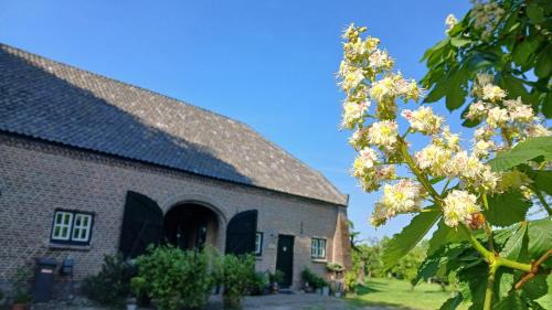 Deurne House | B&B Boerderij La Trappe Deurne