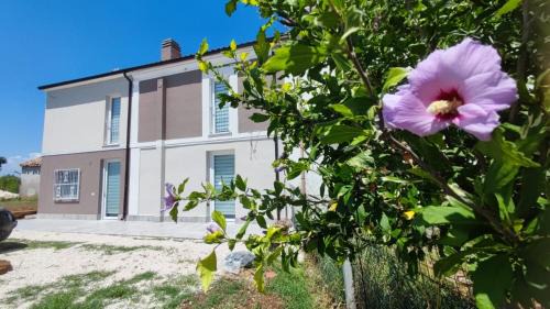 Casalbordino Bed & Breakfast | B&B Borgo Sabelli - Costa dei Trabocchi