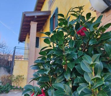 Palestrina Apartment | B&B Camera delle Camelie