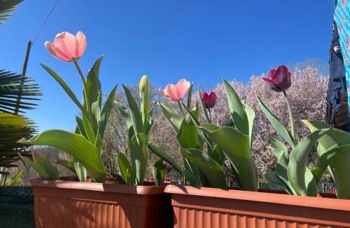 Capriglio Bed & Breakfast | B&B Cascina Dei Levrieri