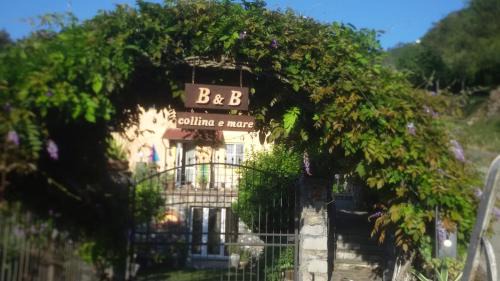 San Lorenzo della Costa Apartment | B&B collina e mare