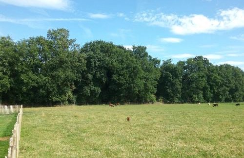 Paardenkouter Bed & Breakfast | B&B De Dulle Koe
