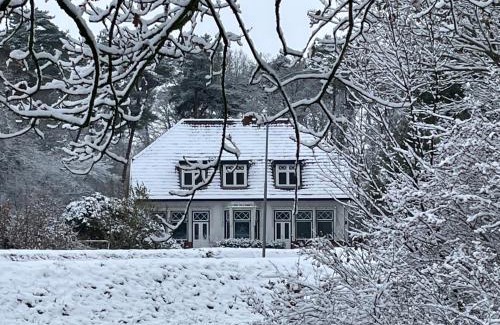 Roden Bed & Breakfast | B&B De Zulthe