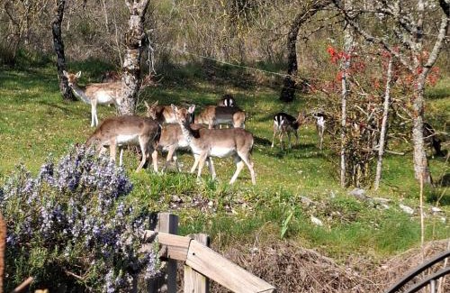 Moggiana Bed & Breakfast | B&B degli Allori