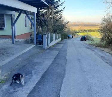 Tulbing Apartment | B&B Family Basement Apartment, Breakfast, Free Parking, 5km from Tulln