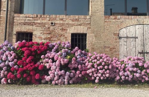 Viarolo Bed & Breakfast | B&B Il Conte Giacomo