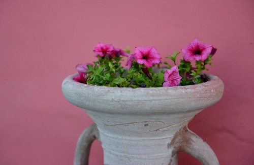 Casalincontrada Bed & Breakfast | B&B La casa di Anna