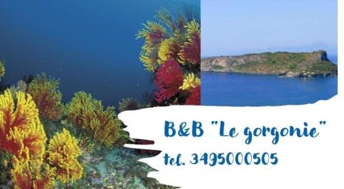 Tortora Marina Bed & Breakfast | B&B Le Gorgonie