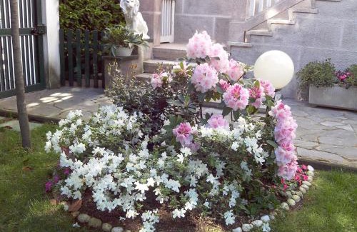 Gallarate Bed & Breakfast | B&B LE MAGNOLIE