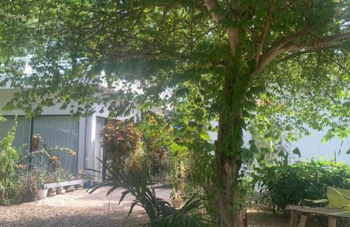 Ngada Bed & Breakfast | B@B Omaherma Home stay