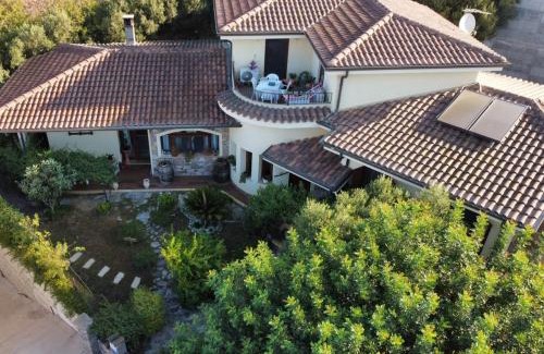 Sardara Bed & Breakfast | B&B Ottoulivi