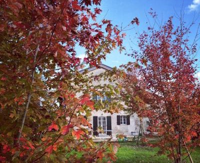 San Leonardo Bed & Breakfast | B&B Podere Merlo