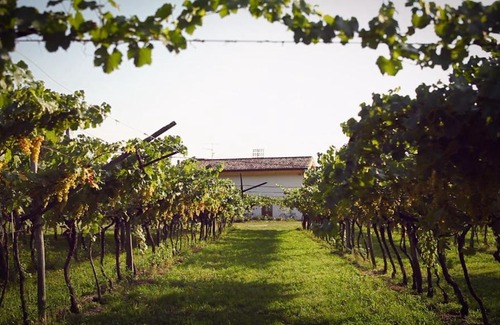 Rovereto Bed & Breakfast | B&B Relais Mozart