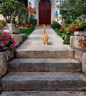 Isernia Bed & Breakfast | B&B Villa Maria Paola - Alloggi Temporanei Isernia