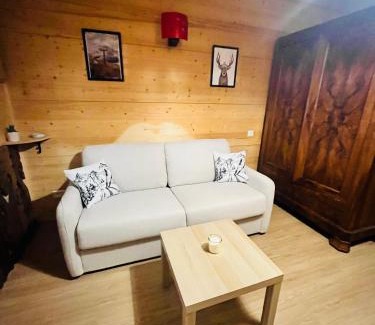 Premanon Apartment | Babaute 7, studio typique au pied des pistes