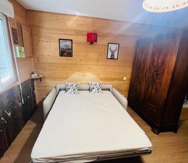 Premanon Apartment | Babaute 7, studio typique au pied des pistes