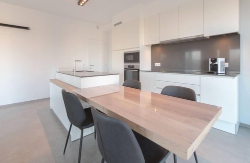Ostend Apartment | Baelskaai 25 by Interhome