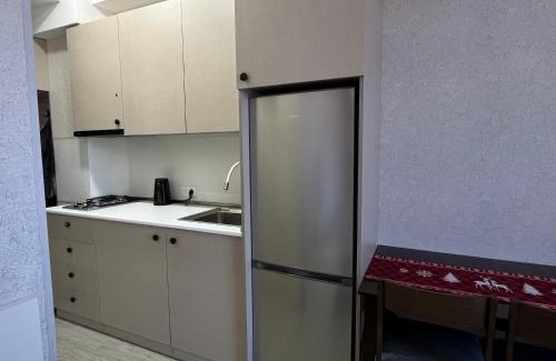 Bakuriani Apartment | Bakuriani Didveli Residence