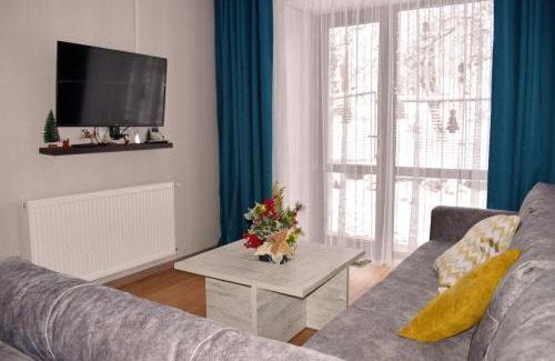 Bakuriani Apartment | Bakuriani Park Residence Apartment #3