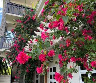 Legazpi Bed & Breakfast | Balay na Bato