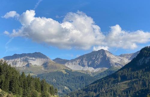 Peist Apartment | Bambi Lodge Ferienwohnung auf knapp 1400 m nahe Arosa
