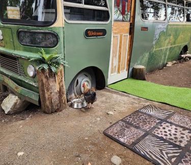 Southern Boat Rental | Banksia Bus