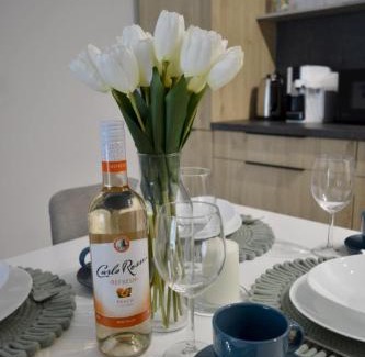 Bielsko-Biala Apartment | BARKOWSKA APART 25 Taras Baza wypadowa w Beskidy Parking WIFI