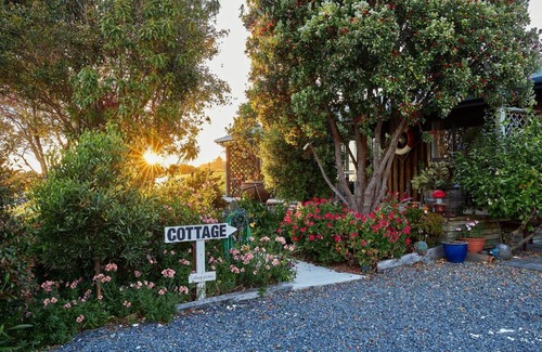 Kaikoura Cabin | Barnacle Bills