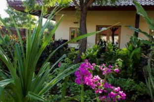 Pejarakan Resort | Batu Ampar Menjangan