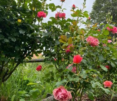 Vara Superiore Bed & Breakfast | BB Andre'