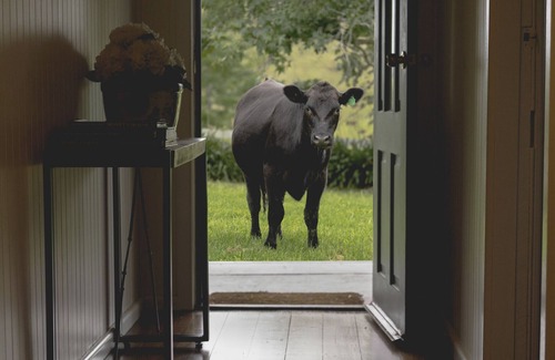 Tugrabakh House | Be amongst nature in the 1890s farmhouse - a time you will never forget.
