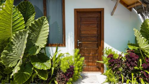 Dhigurah House | Beach Lily Dhigurah