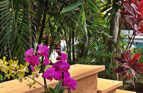 Kahului Villa | Beach Villa with large Pool, Perfect for Kiters & Windsurfers, Families