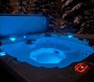Snow Pine Estates Apartment | Bearcub Chalet