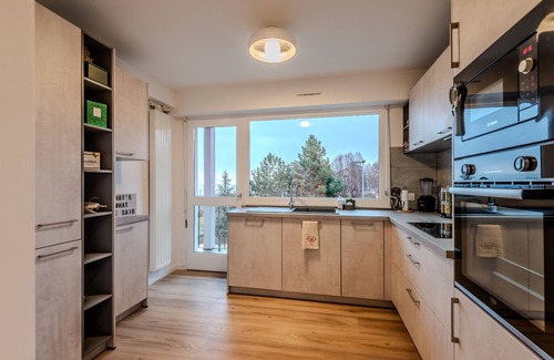 Evian-les-Bains Apartment | Beautiful 2-bedroom apartment in Evian-les-Bains with view of Lake Geneva