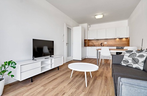 Abertamy Apartment | Beautiful apartment for 4 people with WIFI, TV and parking