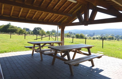 Petit-Thier Cottage | Beautiful holiday home near Vielsalm with rural view