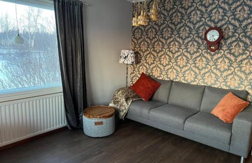 Vaasa House | Beautiful Big Farm House with Spectacular Meteor Site View
