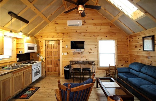 Waynesville Cabin | Beautiful Cabin Sleeps 5